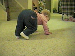 rachel_crawls.jpg